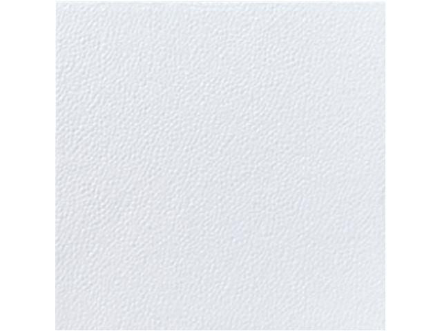 csv_image script asset.8897570.jpg