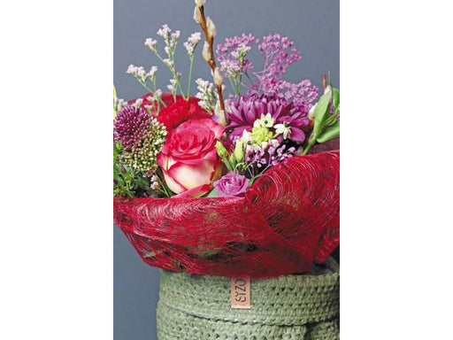 csv_image script asset.8939673.jpg