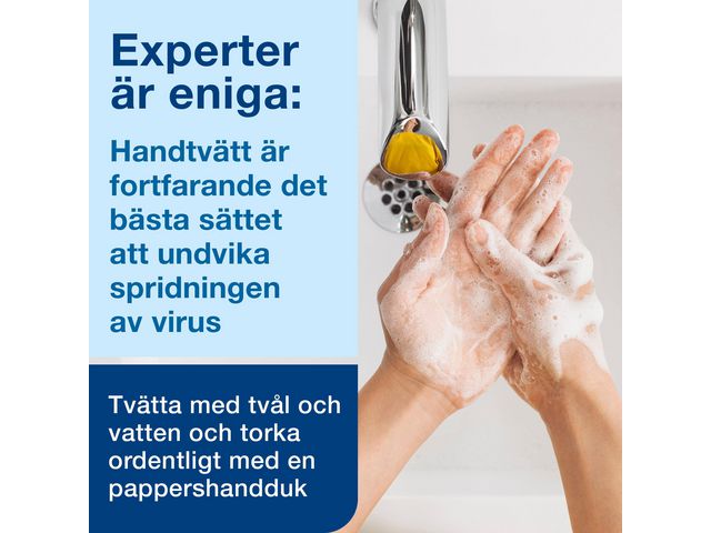 csv_image script asset.8956033.jpg