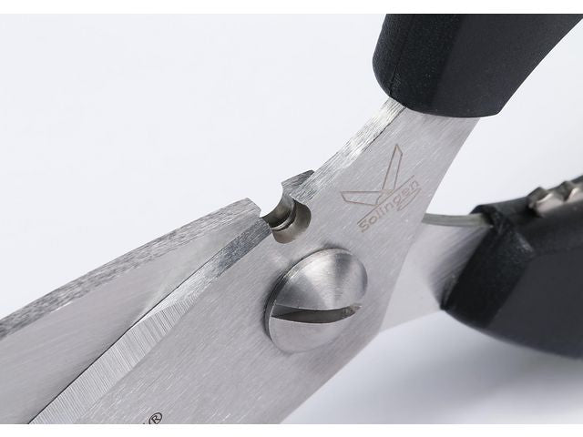 csv_image script asset.9023718.jpg