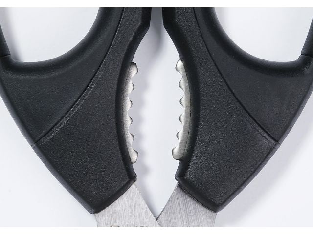 csv_image script asset.9023719.jpg