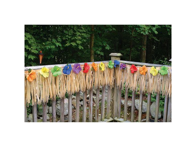 csv_image script asset.9076522.jpg