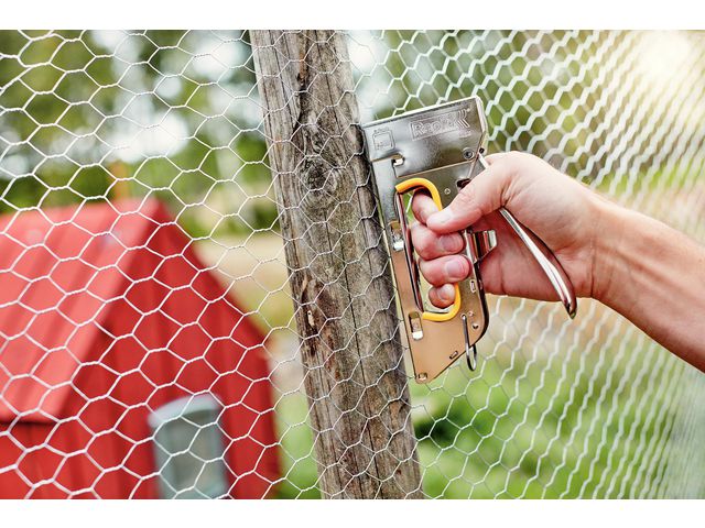 csv_image script asset.9080365.jpg