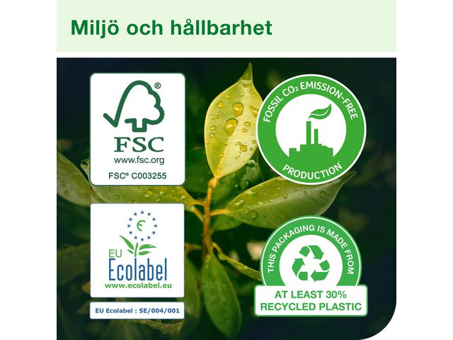 csv_image script asset.9123977.jpg