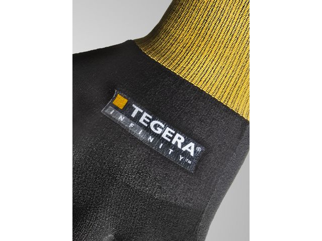 csv_image script asset.9378537.jpg