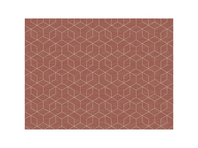 Placemat DUNICEL Graphics Earth (100)