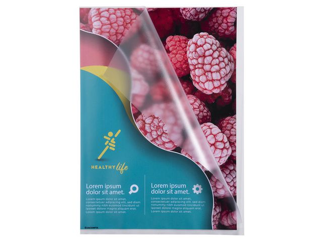 csv_image script asset.9743169.jpg