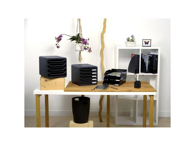 csv_image script asset.9887976.jpg